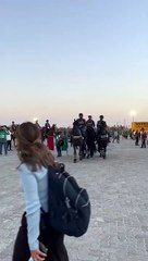 Download Video: Chevaux arabes VS Chevaux mexicains au Mondial du Qatar