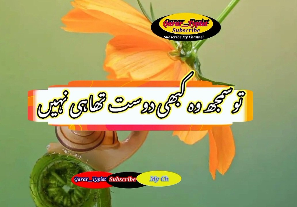 Jo zara si baat par dost na rahi | جوذراسی بات پردوست نہ رہی | qarar__typist