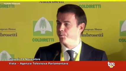 Tg Montecitorio edizione del 24 novembre