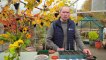 Beechgrove Gardens in Winter 2022 episode 4