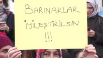 Konya'daki Barınakta Yaşanan Vahşet Kadıköy'de Protesto Edildi
