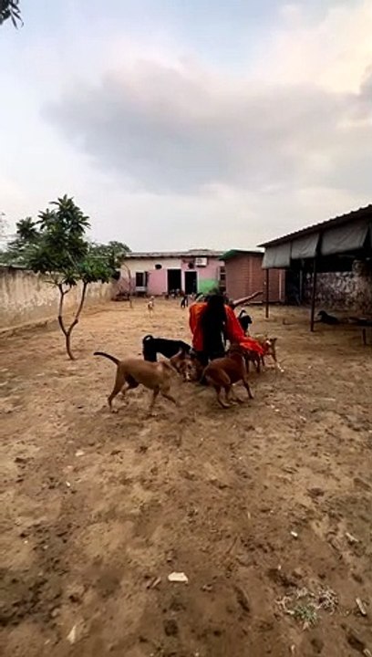 #entertainment