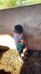 Child Eats Raw Egg