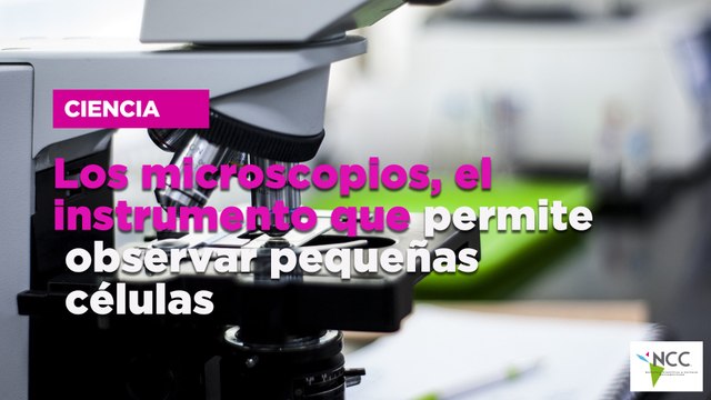 Los microscopios, el instrumento que permite observar pequeñas células