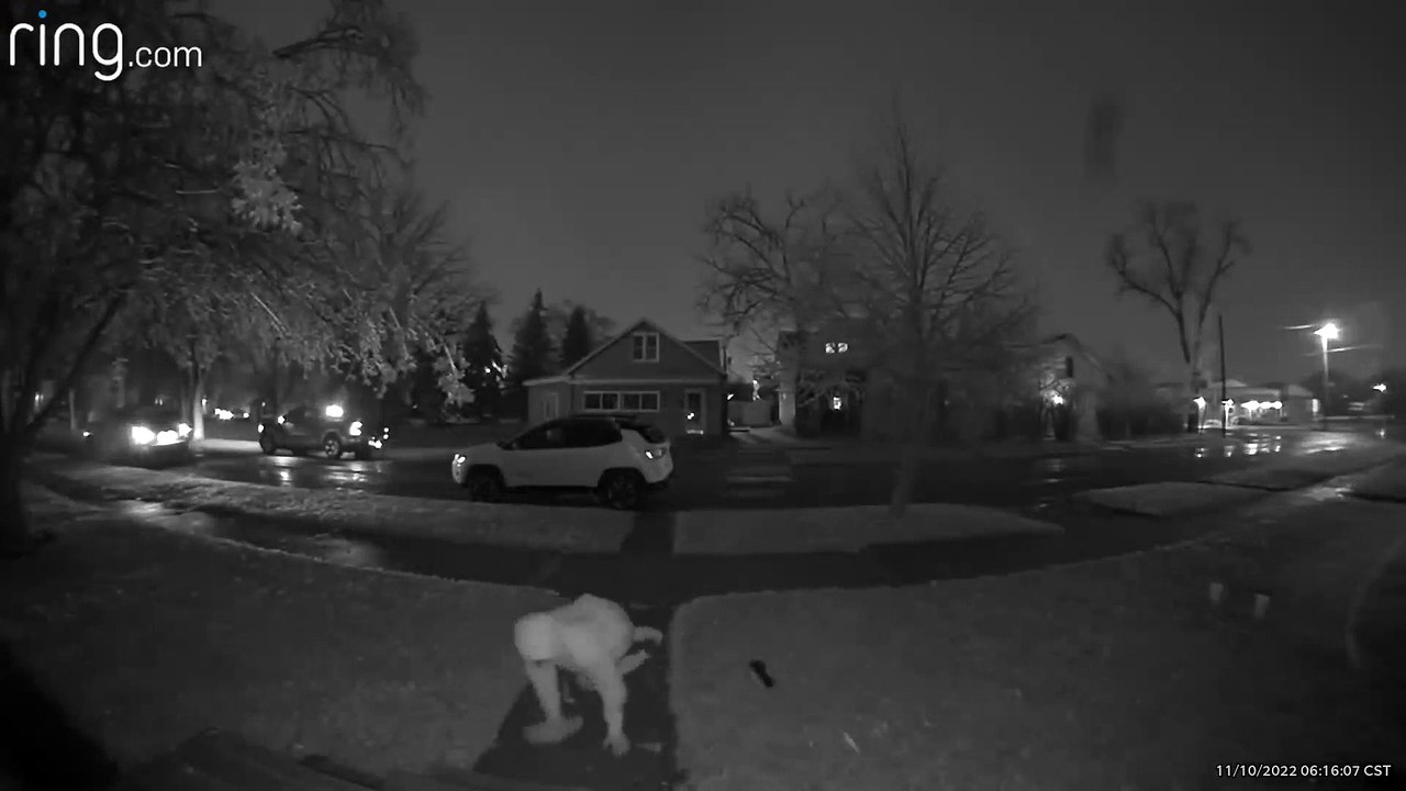 Slick Steps From Ice Storm Surprise Man Walking to Truck
