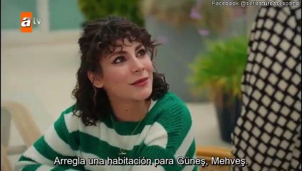 Un Poco de Luz del Sol (Bir Kucuk Gun Isigi) Capitulo 24