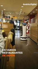 En Japón ya no son necesarios los meseros: los robots son lo que te llevan la comida