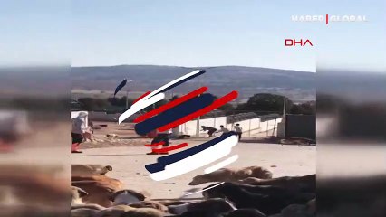 Görüntüler infial yaratmıştı! Soruşturma başlatıldı