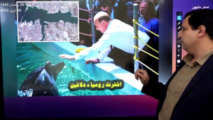 روسيا تلجأ للدلافين لحماية أسطول البحر الأسود من هجمات أوكرانيا