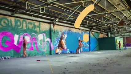 Perro conduce auto y se hace viral