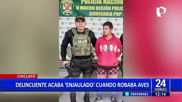 ¡No se lo esperaba! Ladrón ingresó a jaula para robar animales y dueños lo encerraron
