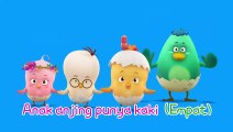 Como and Songs l Kartun Untuk Anak l Ep05. Seberapa Banyak Kaki