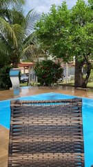 French Bulldog Zoomies Right Into Pool