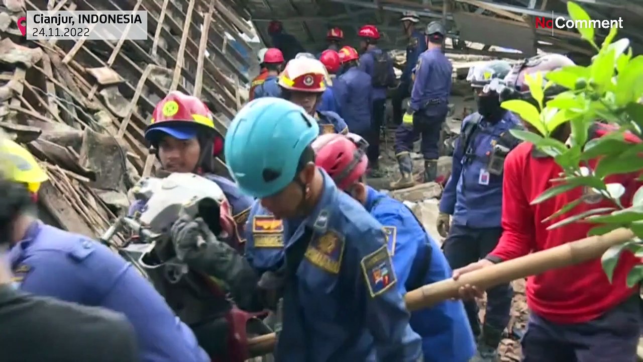 Mit Spürhunden und bloßen Händen: Suche nach Vermissten in Indonesien