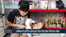 Budidaya Kucing Ras Harga Puluhan Juta