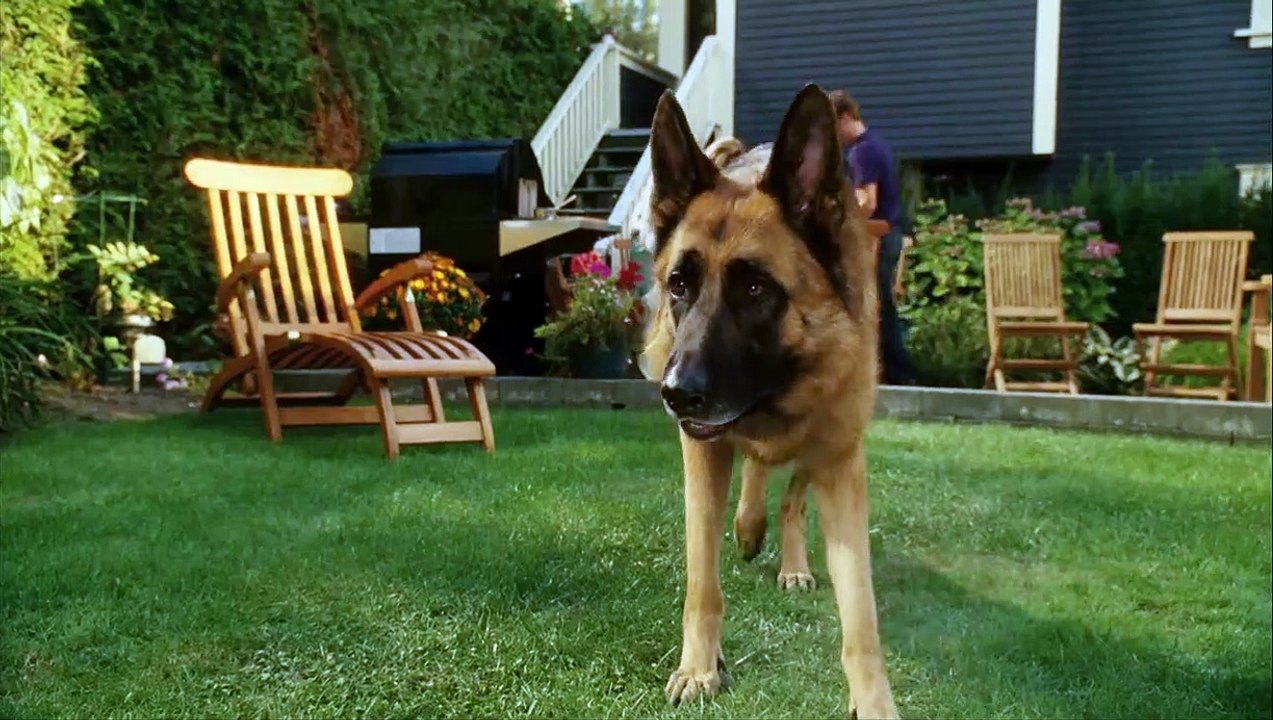 Comme chiens et chats : La revanche de Kitty Galore Bande-annonce (IT)