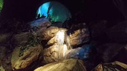 Sea Life Aquarium Waterfall at Mall of America