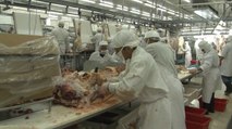 Nicaragua crece 2% en producción de carne bovina
