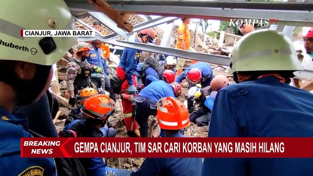 Unit SAR K9 Mabes Polri Terjunkan 9 Anjing Pelacak untuk Bantu Cari Korban di Dua Titik di Cianjur