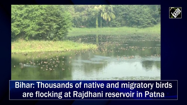 Bihar: Thousands of native and migratory birds are flocking at Rajdhani reservoir in Patna