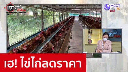 เฮ! ไข่ไก่ลดราคา : เจาะลึกทั่วไทย (25 พ.ย. 65)