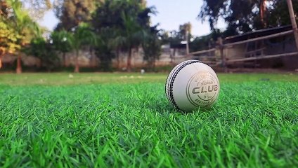 HEEGA Super Club Natural White Leather Ball