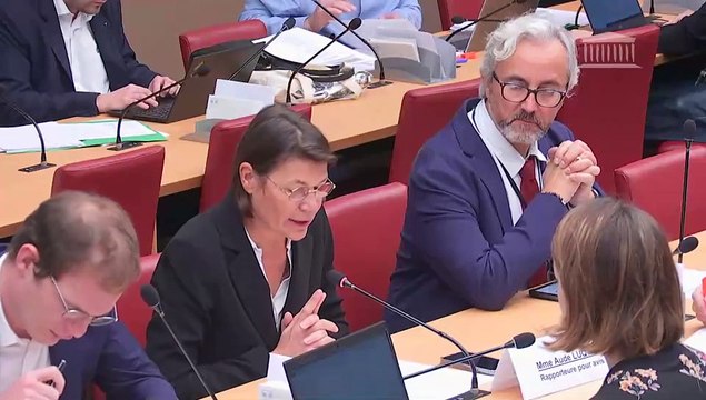 Commission des affaires économiques : Accélération de la production d’énergies renouvelables - Jeudi 24 novembre 2022