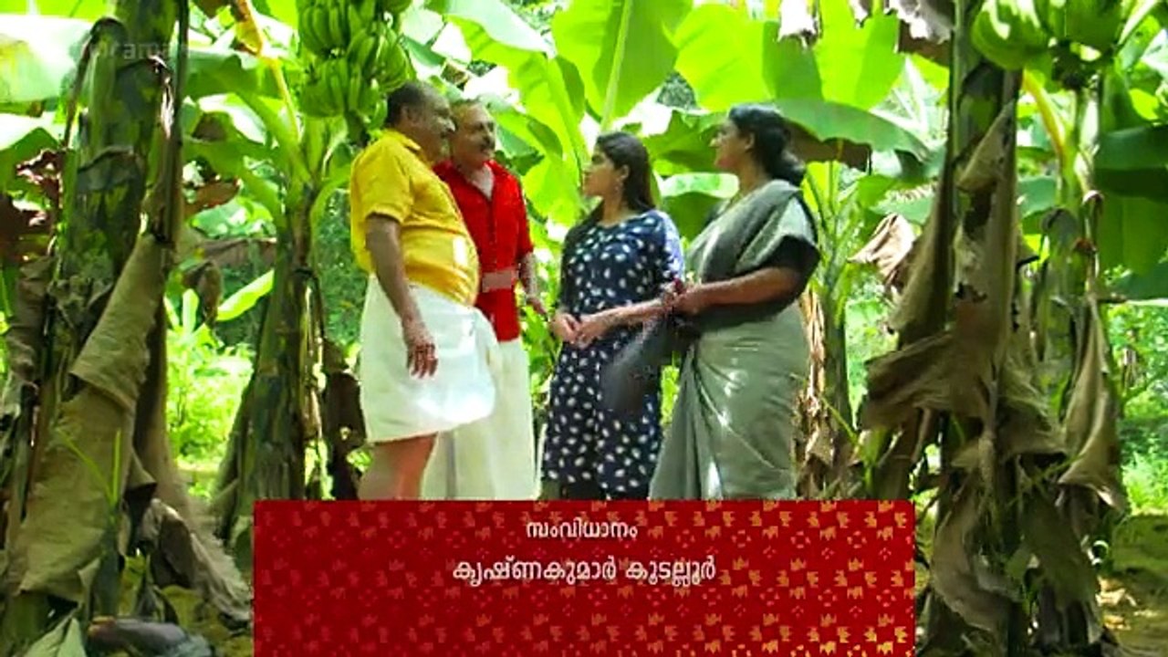 AVNI SHOW 26