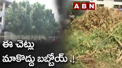 ఈ చెట్లు మాకొద్దు బబ్బోయ్ .!  | People Cut Down Trees | Haritha Haram | ABN Telugu