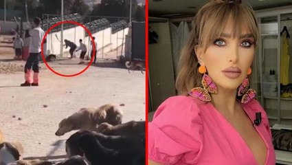 Ünlü isimler, kürekle köpeklere yapılan işkenceye öfke kustu! Seren Serengil, Cumhurbaşkanı Erdoğan'dan yardım istedi