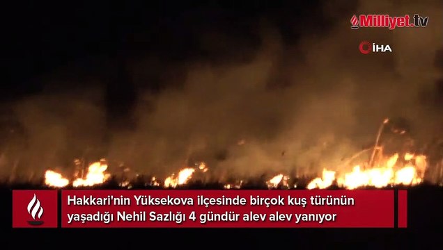 Yüksekova'nın kuş cenneti 4 gündür alev alev yanıyor