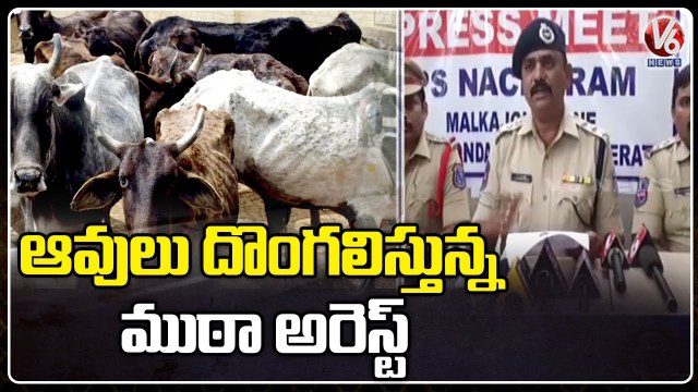 Cows Robbery Gang Arrested With CCTV Visuals In Nacharam | Hyderabad | V6 News