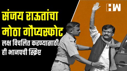 लक्ष विचलित करण्यासाठी ही भाजपची स्क्रिप्ट; संजय राऊतांचा मोठा गौप्यस्फोट
