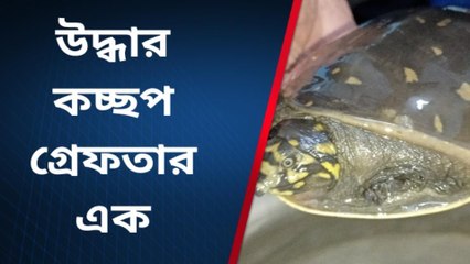 বারুইপুর পশ্চিম: উদ্ধার বিলুপ্ত প্রজাতির কচ্ছপ, গ্রেফতার এক