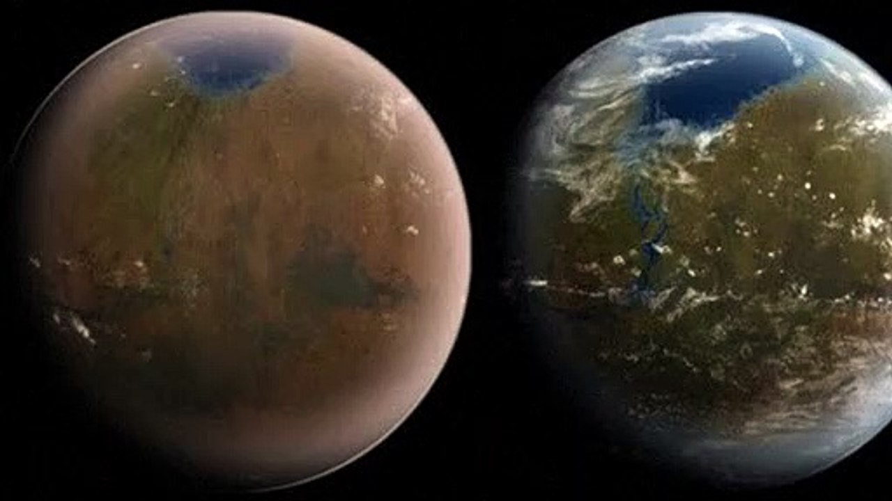 Musk verkündet 'Amnestie' für gesperrte Twitter-Konten