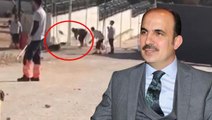 Köpek katliamıyla ilgili Konya Büyükşehir Belediye Başkanı'ndan iki cümlelik açıklama