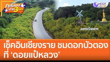 เช็คอินเชียงราย ชมดอกบัวตองบาน ที่ 'ดอยแป๋หลวง' | คุยโขมงบ่าย 3 โมง