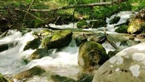 Natural music for Meditation, Relaxation and clearing dirty thoughts and for sleepy music