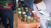 Operación contra el cultivo y la venta de marihuana en la provincia de Ciudad Real