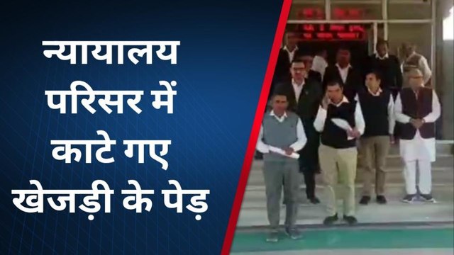 हनुमानगढ़ :न्यायालय परिसर में काटे गए खेजड़ी के पेड़ दोबारा लगाने की मांग, देखिए खबर