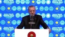 Cumhurbaşkanı Erdoğan: Dünyadaki insan hakları örgütleri nerede?