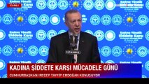 Cumhurbaşkanı Erdoğan'dan Ümit Özdağ'ın Karkamış ziyaretine tepki: Daha dur bu iyi günleriniz