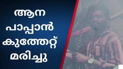 മൂന്നാറിൽ ആന പാപ്പാൻ സഹപ്രവർത്തകന്റെ കുത്തേറ്റ് മരിച്ചു