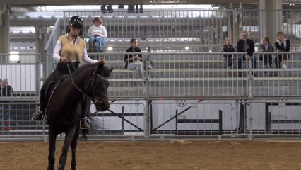 Equitazione, Di Paola "Obiettivo salto ostacoli a Parigi 2024"