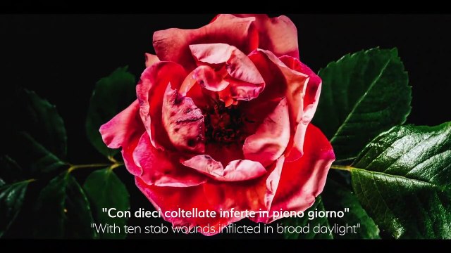 Violenza sulle donne, Germano Lanzoni e la campagna della questura di Milano: Questo non è amore