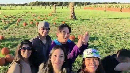 Fall FAILS  _ Funniest Fails of the Week _ AFV 2022