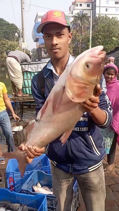 Fisherman Catch Big Carp Fishes bdfishingspot fish fishing hook fishing