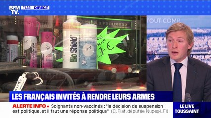 Collectes d'armes non déclarées: "On a un enjeu qui est la lutte contre les violences intrafamiliales"