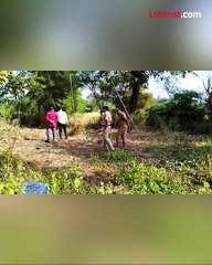 बिबट्या जोमात गावकरी कोमात!