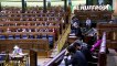 Un diputado de Bildu imita a Suárez Illana en la votación por llamamiento